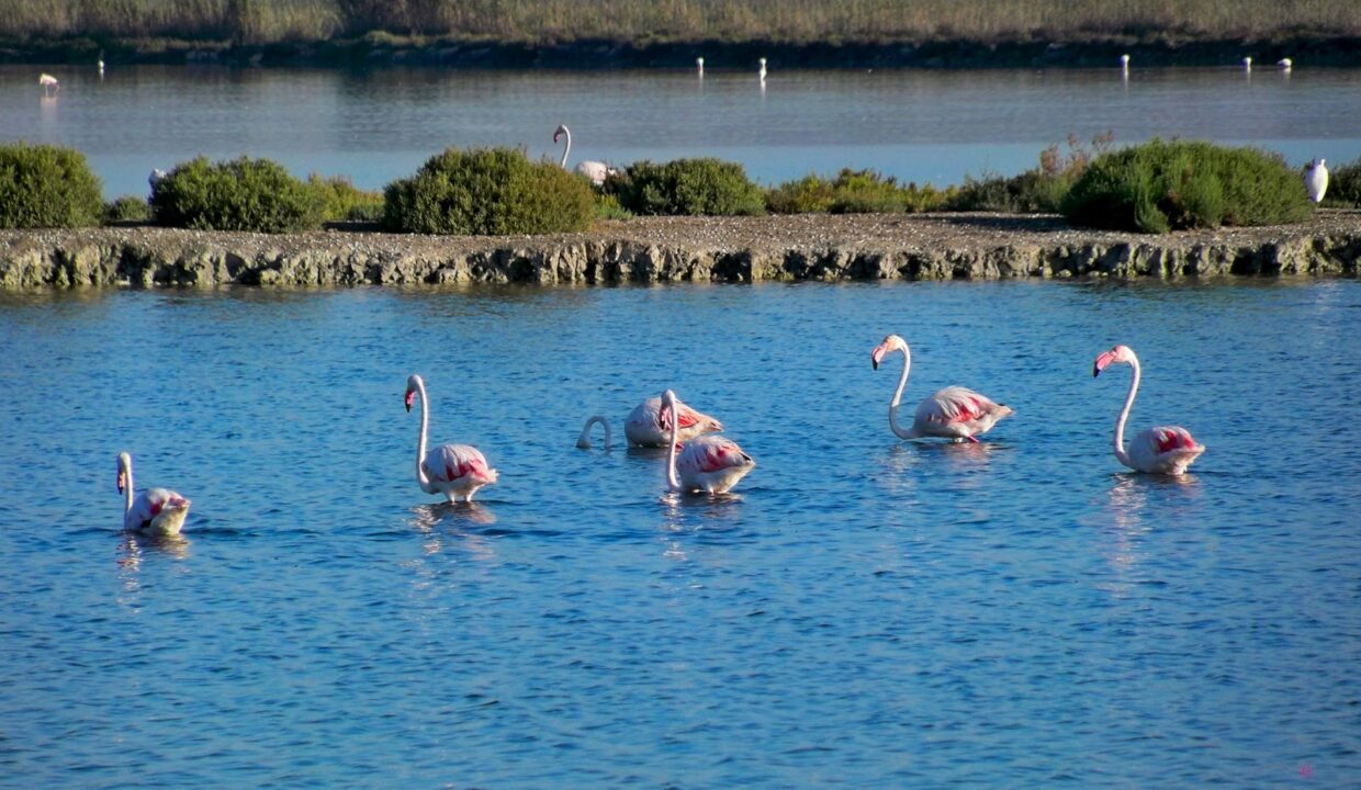 20180310-encuentran-a-dos-hombres-practicando-pesca-furtiva-en-el-parque-natural-de-las-salinas-1